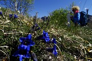 MONTE MAGNODENO e CRESTE DELLA GIUMENTA ad anello da Erve il 25 aprile 2016 - FOTOGALLERY